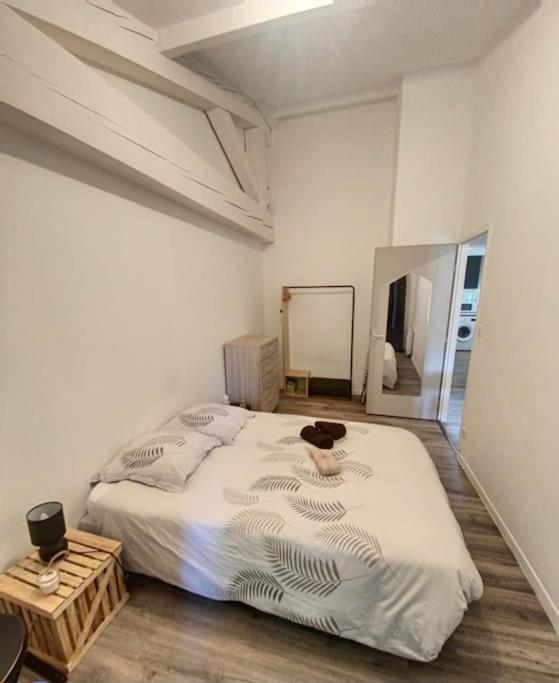 Le Charme De La Bastide - Proche Cite Apartment Carcassonne Bagian luar foto